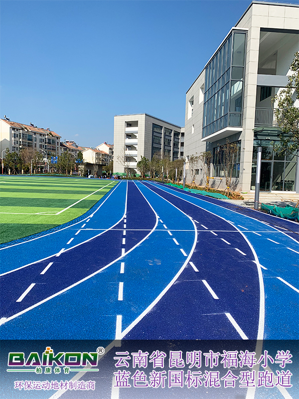 云南昆明福海小学新国标混合型61.jpg