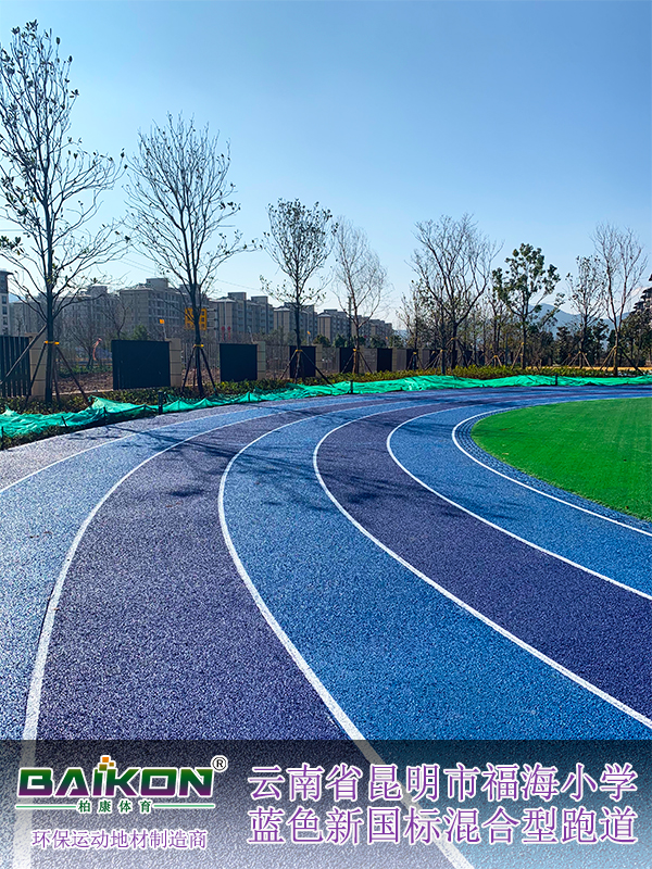 云南昆明福海小学新国标混合型51.jpg
