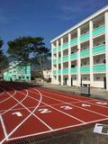 江西省萍乡市坊房中学塑胶跑道