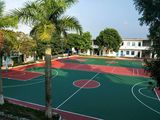 广东省湛江市丙烯酸篮球场、羽毛球场