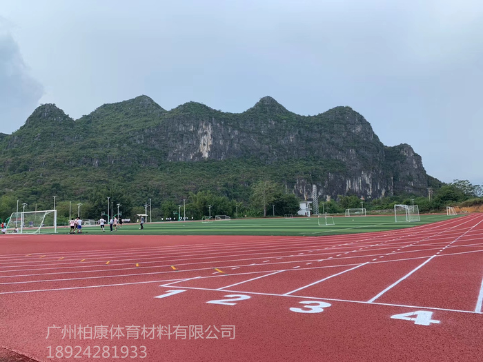 广西扶绥中学新国标混合型400米跑道_副本.jpg