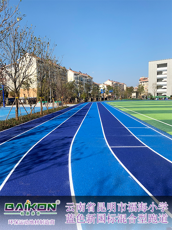 云南昆明福海小学新国标混合型41.jpg